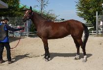 �½� (TAESAN) ����