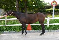 ��ũ���� (DON��T CRYING) ����