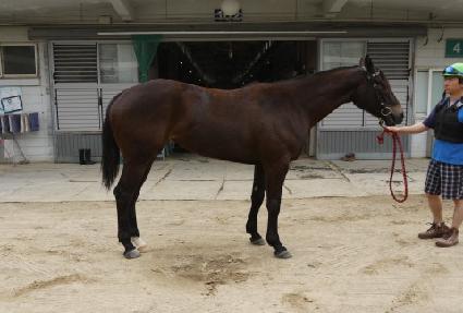 �޴Ϲ��� ����