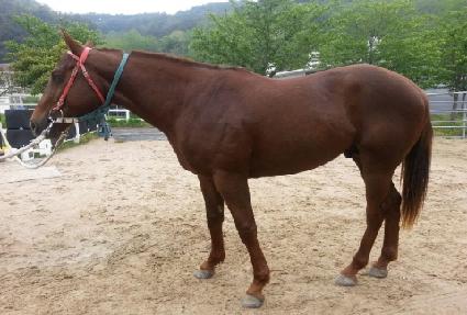 �ʾ� ����