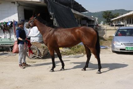 �ؽ� ����