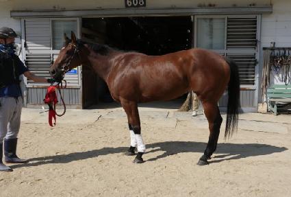 �־���ũ ����