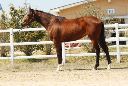 ���� ����