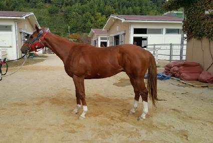 ���������� ����