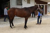 ��������ī (HI EUREKA) ����