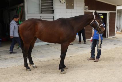 ��������ī ����