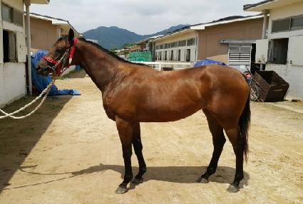 �ε��è�� ����