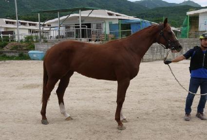 �������� ����