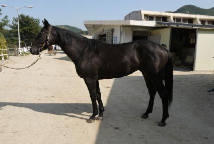 ���ø�Ʈ���� ����