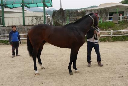 ������ ����