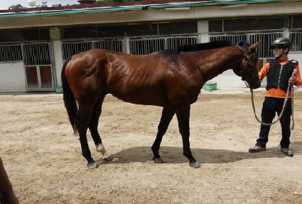 ��è�� ����