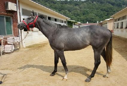 ����è�Ǿ� ����