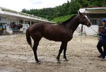 �߽ߵ��� (SSAENGSSAENG DORI) ����