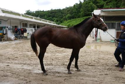 �߽ߵ��� ����