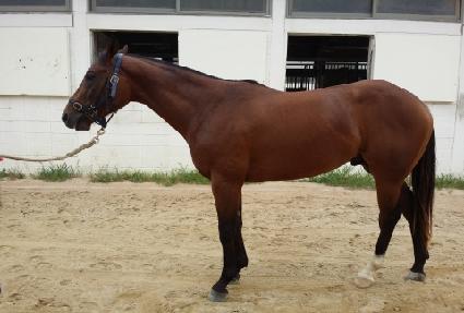 �����ī ����