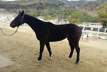 ������ ����