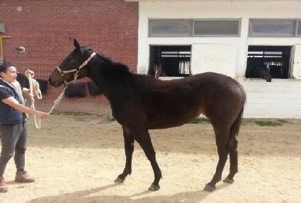 �±Ǻغ� ����