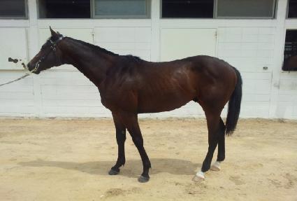 ��Ÿ����Ʈ ����