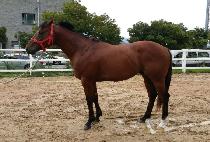 �̽ô뿵�� (ISIDAE  YEONGGWANG) ����