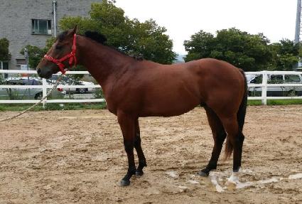 �̽ô뿵�� ����