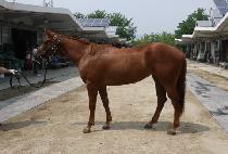 �ܺ� (DANBI) ����