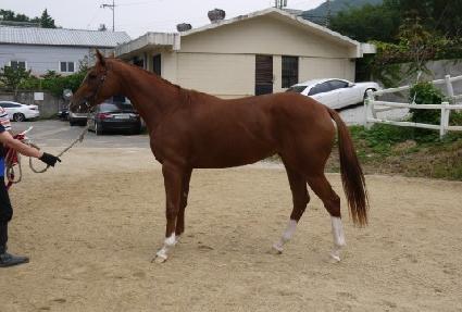 õ�� ����