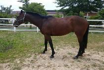 �����ǲ� (GEOWIUI KKUM) ����