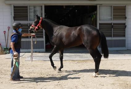 ���ҿ��� ����