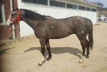 WORLD MASTER picture