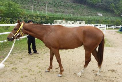 �������� ����