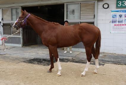 �Ƹ��ٿ��� ����