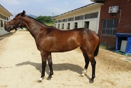 �ö��̴��� ����