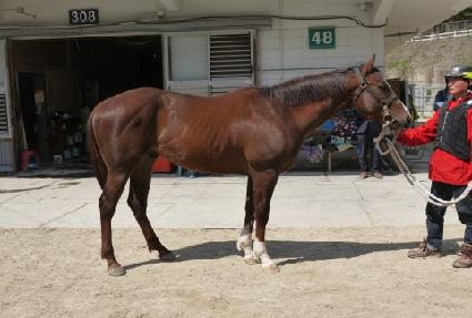 �����ǽ� ����