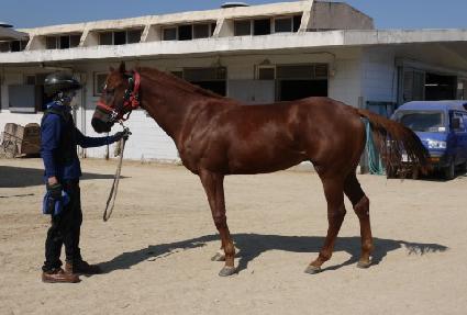 ���밭 ����