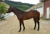 �üҿ�ѹ��� (ALSO NUMBER ONE) ����