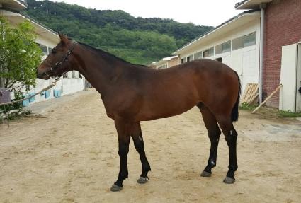 �üҿ�ѹ��� ����