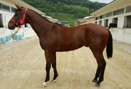 ��������� ����