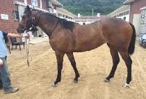 BANJIUI YEOJEONSA picture