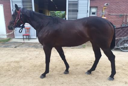 �Ҳ�û�� ����