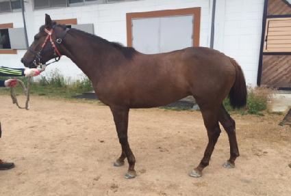 ����Ʈû�� ����