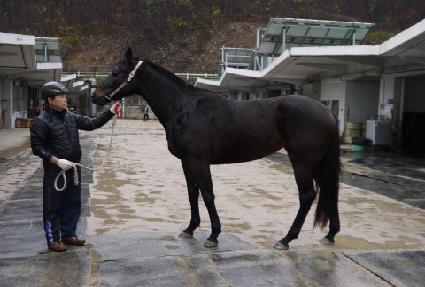 ������ ����