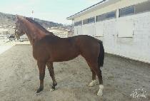 ���� (GANGSOK) ����