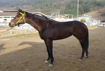 �����꿢�� ����