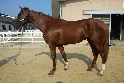 ��õ�ô� ����