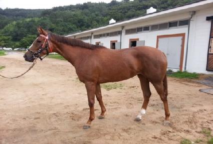 ���ŷ�� ����