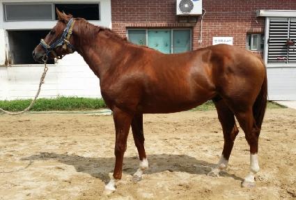 õ��è�� ����