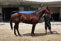 �������� (DAEHAN JEIL) ����