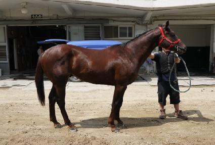 �������� ����