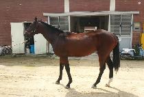 Ʈ������Ƽ (TRIPLE PARTY) ����