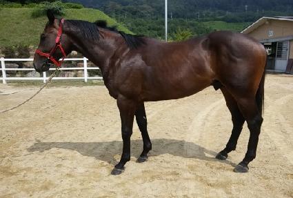 �����Ƿ����� ����